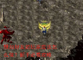 想加好友的玩家应该怎么做?新手必看攻略 想加好友的玩家应该怎么做?新手必看攻略