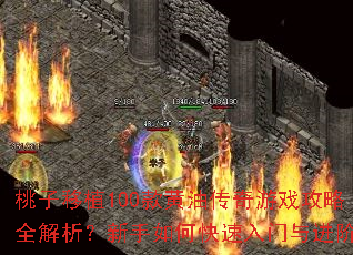 桃子移植100款黄油传奇游戏攻略全解析?新手如何快速入门与进阶? 桃子移植100款黄油传奇游戏攻略全解析?新手如何快速入门与进阶?