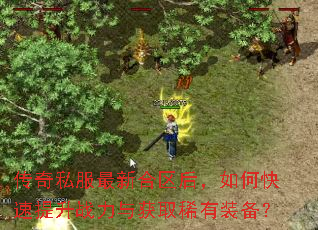 传奇私服最新合区后,如何快速提升战力与获取稀有装备? 传奇私服最新合区后,如何快速提升战力与获取稀有装备?