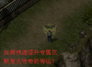 如何快速提升专属沉默复古传奇的等级? 如何快速提升专属沉默复古传奇的等级?