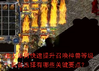 ��ʿ��ο��������ٻ����޵ȼ���װ��ѡ������Щ�ؼ�Ҫ�㣿