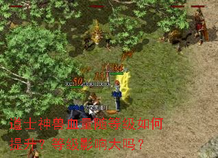 道士神兽血量随等级如何提升?等级影响大吗? 道士神兽血量随等级如何提升?等级影响大吗?