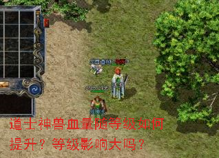 道士神兽血量随等级如何提升?等级影响大吗? 道士神兽血量随等级如何提升?等级影响大吗?