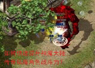 如何快速提升神魔大陆传奇私服角色战斗力? 如何快速提升神魔大陆传奇私服角色战斗力?
