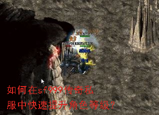 如何在sf999传奇私服中快速提升角色等级? 如何在sf999传奇私服中快速提升角色等级?