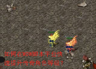 如何在WOW脚本平台快速提升传奇角色等级? 如何在WOW脚本平台快速提升传奇角色等级?