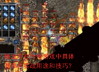 擒龙手在传奇游戏中具体有哪些实战用途和技巧? 擒龙手在传奇游戏中具体有哪些实战用途和技巧?