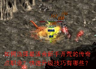 如何选择最适合新手开荒的传奇点职业?快速升级技巧有哪些? 如何选择最适合新手开荒的传奇点职业?快速升级技巧有哪些?