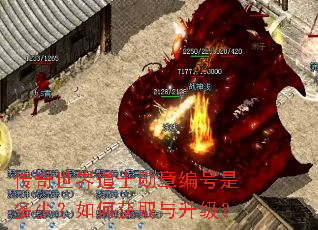 传奇世界道士勋章编号是多少?如何获取与升级? 传奇世界道士勋章编号是多少?如何获取与升级?