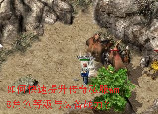 ��ο�����������˽��wm8��ɫ�ȼ���װ��ս����