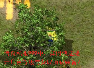 传奇私服999中,如何快速提升角色等级与获取顶级装备? 传奇私服999中,如何快速提升角色等级与获取顶级装备?