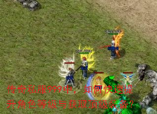 传奇私服999中,如何快速提升角色等级与获取顶级装备? 传奇私服999中,如何快速提升角色等级与获取顶级装备?
