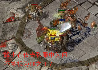 战士在传奇私服中为何不被视为PK之王? 战士在传奇私服中为何不被视为PK之王?