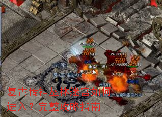 复古传神丛林迷宫如何进入?完整攻略指南 复古传神丛林迷宫如何进入?完整攻略指南