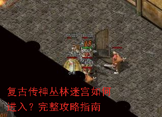 复古传神丛林迷宫如何进入?完整攻略指南 复古传神丛林迷宫如何进入?完整攻略指南