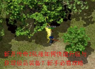 新开传奇2私服如何快速升级与获取极品装备?新手必看攻略 新开传奇2私服如何快速升级与获取极品装备?新手必看攻略