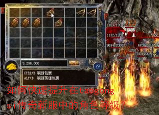 如何快速提升在taogongsi传奇新服中的角色等级? 如何快速提升在taogongsi传奇新服中的角色等级?