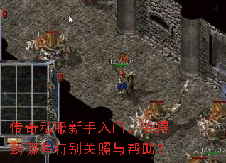 传奇私服新手入门,会得到哪些特别关照与帮助? 传奇私服新手入门,会得到哪些特别关照与帮助?