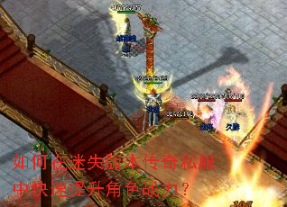 �������ʧ�汾����˽���п���������ɫս����