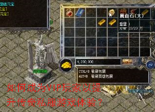 ��γ�ΪVIP�������������˽����Ϸ���飿
