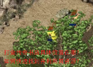 打金传奇书店具体位置在哪?如何快速找到并利用其资源? 打金传奇书店具体位置在哪?如何快速找到并利用其资源?