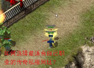 如何选择最适合自己职业的传奇私服网址? 如何选择最适合自己职业的传奇私服网址?