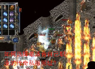 如何选择最适合自己职业的传奇私服网址? 如何选择最适合自己职业的传奇私服网址?