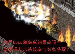 赤月boss爆率真的最高吗?如何提升击杀效率与装备获取? 赤月boss爆率真的最高吗?如何提升击杀效率与装备获取?