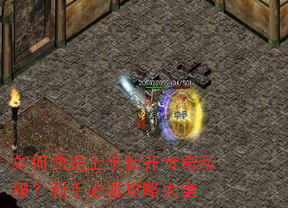 如何快速上手新开传奇私服?新手必看攻略大全 如何快速上手新开传奇私服?新手必看攻略大全