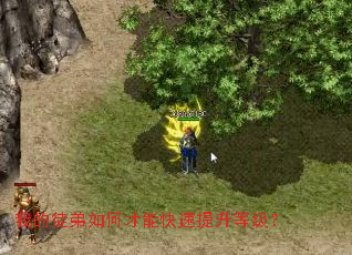 我的徒弟如何才能快速提升等级? 我的徒弟如何才能快速提升等级?