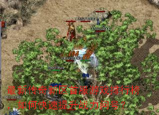 最新传奇新区首服游戏排行榜,如何快速提升战力问号? 最新传奇新区首服游戏排行榜,如何快速提升战力问号?