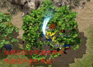 如何在邹平网通传奇中快速提升角色等级? 如何在邹平网通传奇中快速提升角色等级?