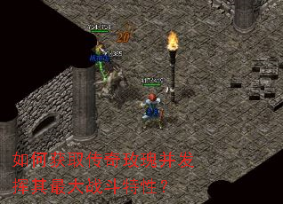如何获取传奇玫瑰并发挥其最大战斗特性? 如何获取传奇玫瑰并发挥其最大战斗特性?