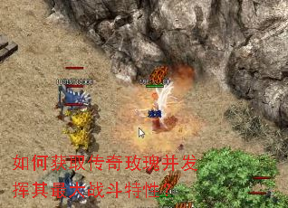 如何获取传奇玫瑰并发挥其最大战斗特性? 如何获取传奇玫瑰并发挥其最大战斗特性?