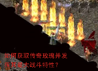 如何获取传奇玫瑰并发挥其最大战斗特性? 如何获取传奇玫瑰并发挥其最大战斗特性?