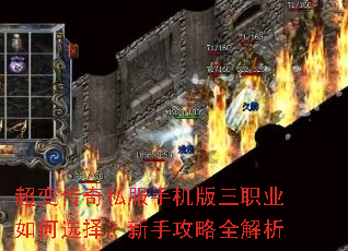 超变传奇私服手机版三职业如何选择?新手攻略全解析 超变传奇私服手机版三职业如何选择?新手攻略全解析