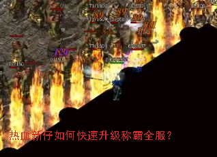 热血新仔如何快速升级称霸全服? 热血新仔如何快速升级称霸全服?