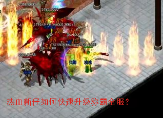 热血新仔如何快速升级称霸全服? 热血新仔如何快速升级称霸全服?
