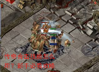 传奇合击技能怎么用?新手必看攻略 传奇合击技能怎么用?新手必看攻略
