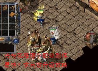 传奇私服哪个职业刷怪最快?求高效升级攻略 传奇私服哪个职业刷怪最快?求高效升级攻略