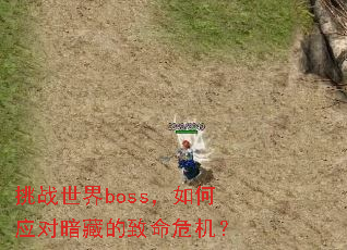 挑战世界boss,如何应对暗藏的致命危机? 挑战世界boss,如何应对暗藏的致命危机?