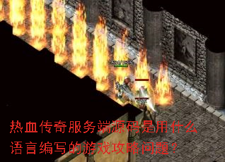 热血传奇服务端源码是用什么语言编写的游戏攻略问题? 热血传奇服务端源码是用什么语言编写的游戏攻略问题?