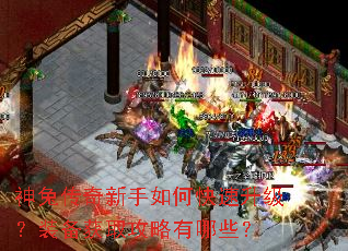 神兔传奇新手如何快速升级?装备获取攻略有哪些? 神兔传奇新手如何快速升级?装备获取攻略有哪些?