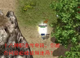 十八种职业传奇路,你能否问鼎巅峰破解迷局? 十八种职业传奇路,你能否问鼎巅峰破解迷局?