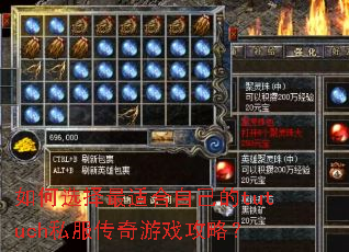 如何选择最适合自己的tutuch私服传奇游戏攻略? 如何选择最适合自己的tutuch私服传奇游戏攻略?