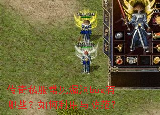 ����˽������©��bug����Щ����������������