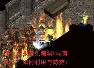 ����˽������©��bug����Щ����������������