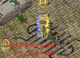 三职业如何快速发育起飞?新手必看攻略指南 三职业如何快速发育起飞?新手必看攻略指南