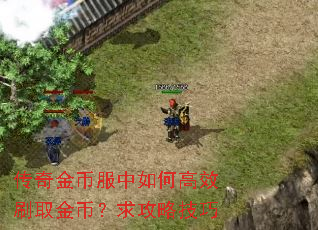 传奇金币服中如何高效刷取金币?求攻略技巧 传奇金币服中如何高效刷取金币?求攻略技巧