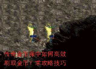 传奇金币服中如何高效刷取金币?求攻略技巧 传奇金币服中如何高效刷取金币?求攻略技巧